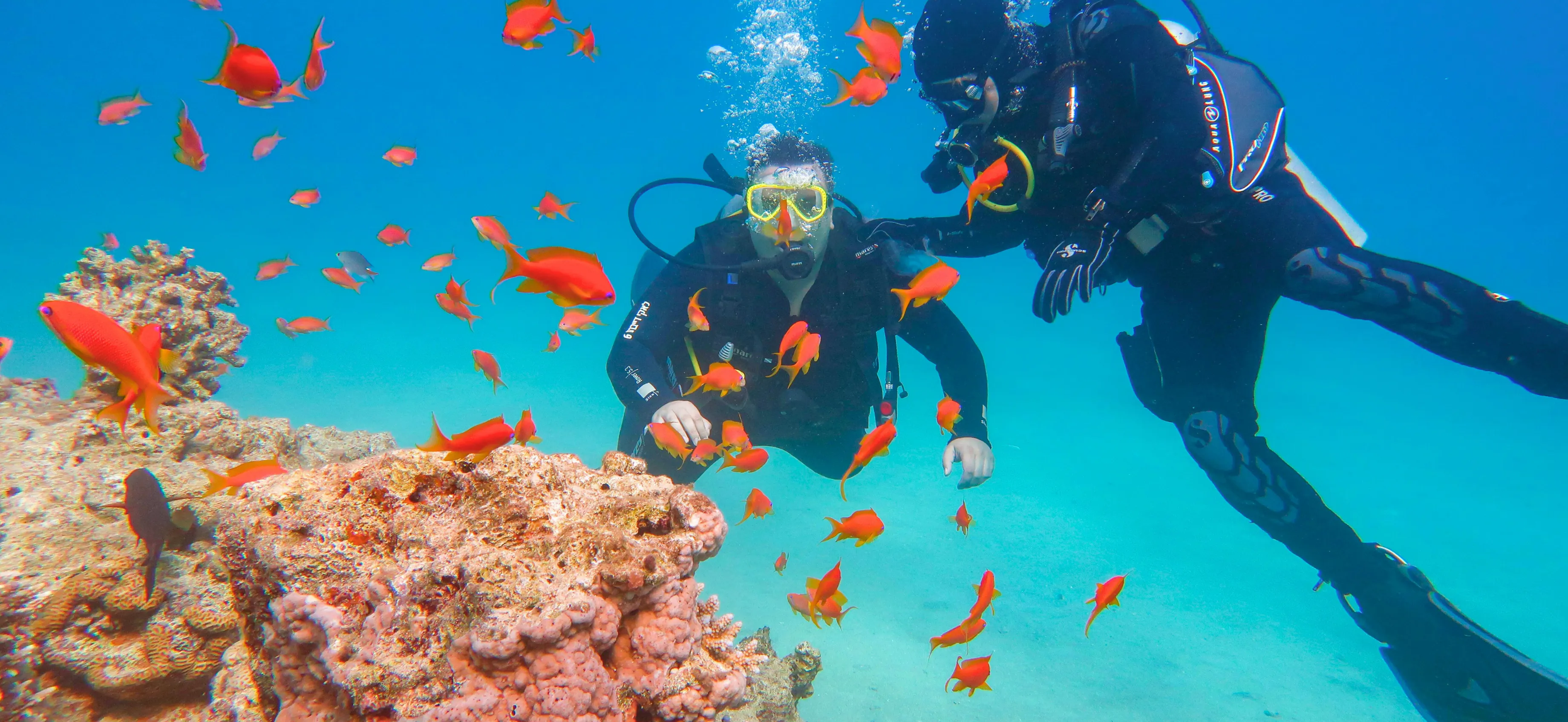 Scuba Diving And Snorkelling Holidays