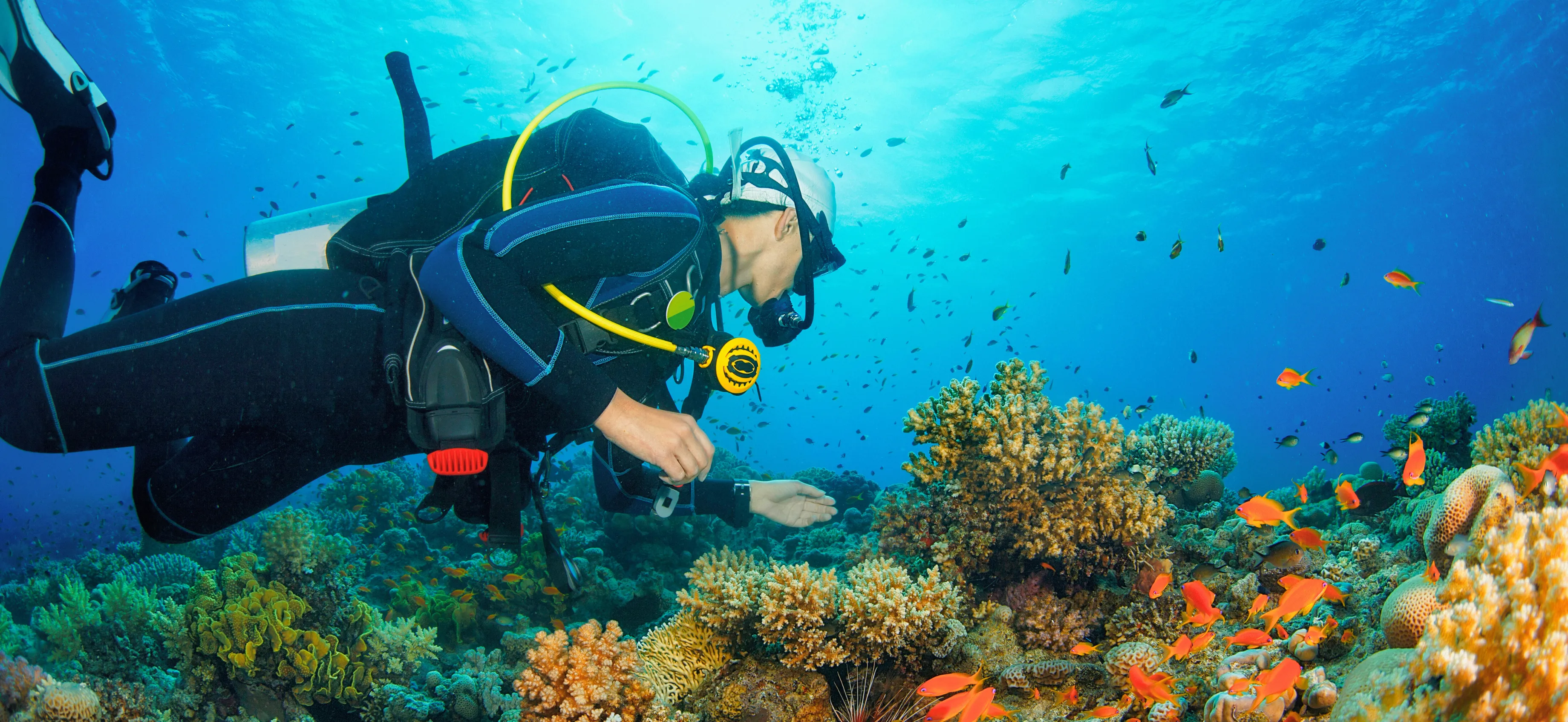 Scuba Diving And Snorkelling Holidays