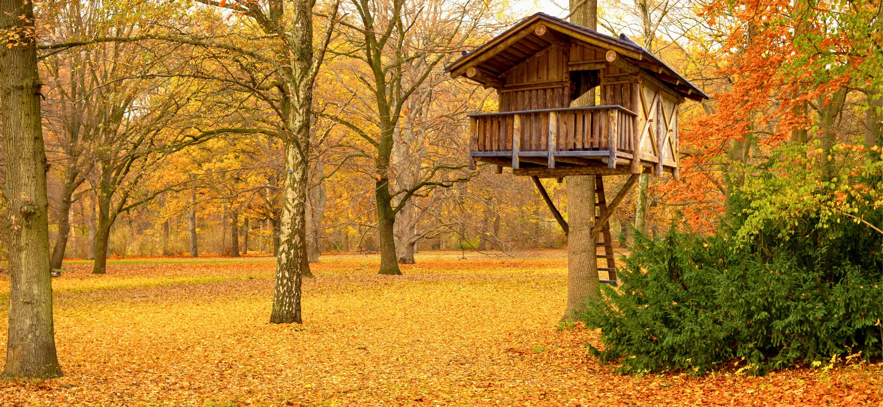 Unusual And Quirky Couples Getaways