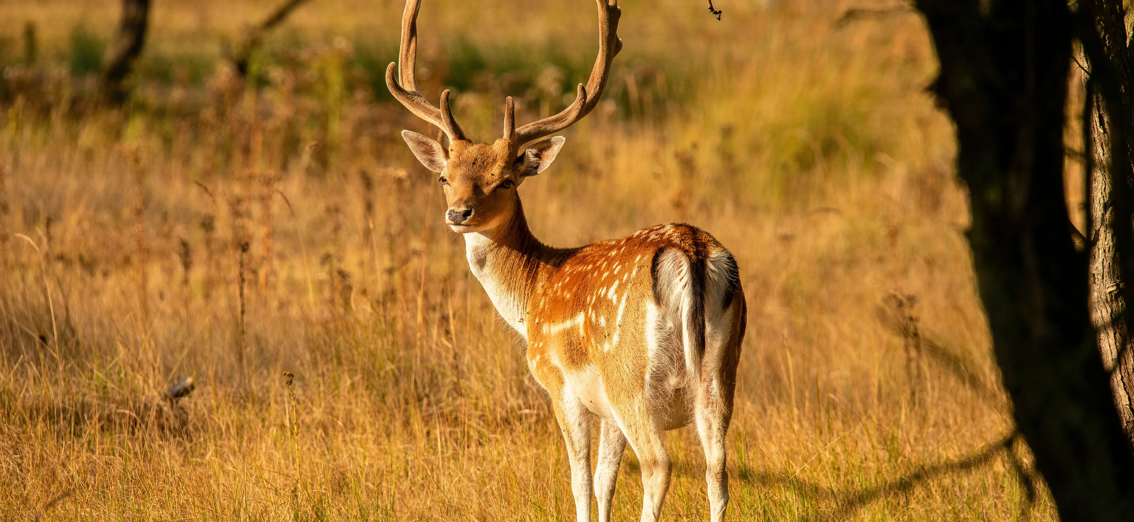 Wildlife And Nature Holidays